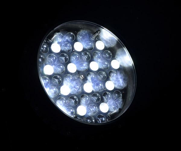 防水 IP65 をつける屋外のクリー族ランプ LED の標準のズームレンズ専門 LED の段階